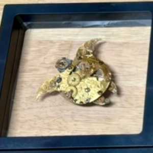 The Sea Turtle Sir Richard by "Kaveka", Image 1.