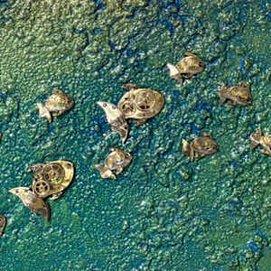 Freshwater Mountain Time by "Kaveka", Image 3.