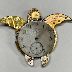 The Sea Turtle Alvise by "Kaveka", Image 1.