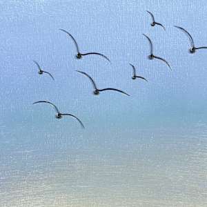 Time Flying West by "Kaveka", Image 2.