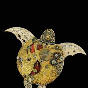 The Sea Turtle Laszlo by "Kaveka", Image 1.