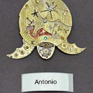 The Sea Turtle Antonio by "Kaveka", Image 6.