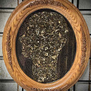 Time Silhouette by "Kaveka", Image 10.