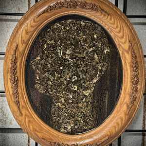 Time Silhouette by "Kaveka", Image 6.