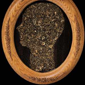 Time Silhouette by "Kaveka", Image 13.