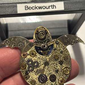 The Sea Turtle Beckwourth by "Kaveka", Image 2.