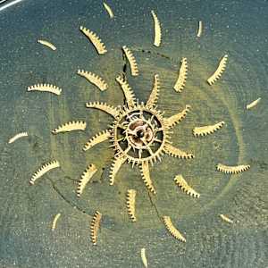 Time Sky Migration by "Kaveka", Image 7.