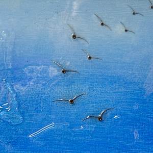 Seabird Time Sky Journey by "Kaveka", Image 2.