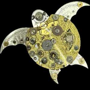 The Sea Turtle Goncalo by "Kaveka", Image 2.