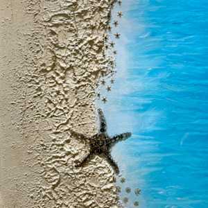 Starfish Time by "Kaveka", Image 1.
