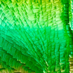 Vert by "Kaveka", Image 1.