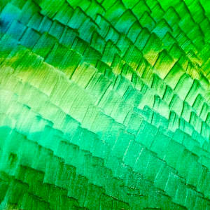 Vert by "Kaveka", Image 3.