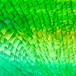 Vert by "Kaveka", Image 2.