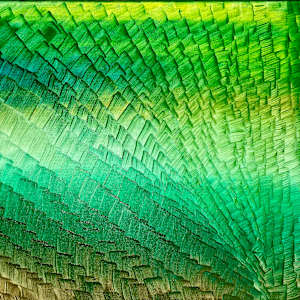 Vert by "Kaveka", Image 4.