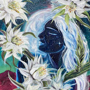 Seriously, Sirius, Cereus By Josephine Thomason by Heart of the Sun Gallery