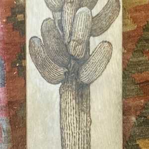 Sabino Redux by Heart of the Sun Gallery