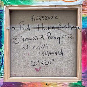 Red Thorn  Bush by Francis Pavy 