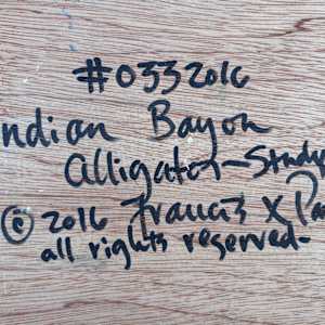 Indian Bayou Alligator study by Francis Pavy 