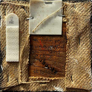 Crab by Francis Pavy, Image 2.