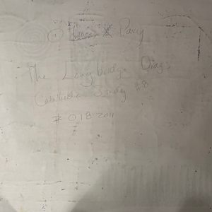 The Long Bridge Drags Catahoula Study #8 by Francis Pavy 