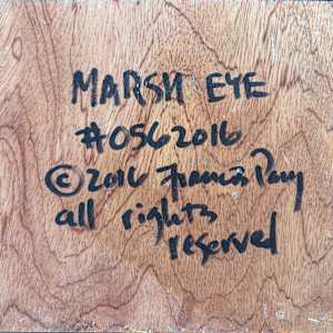 Marsh Eye by Francis Pavy 