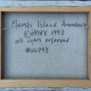 Marsh Island Accordionist by Francis Pavy 