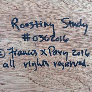 Roosting Study by Francis Pavy 