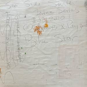 Sea Side Suite Blue star by Francis Pavy 