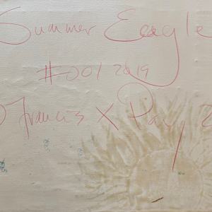 Summer Eagle by Francis Pavy  Image: reverse