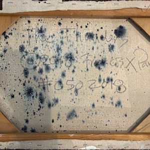 The Thunders by Francis Pavy 