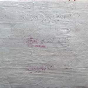 Crow's Thunder by Francis Pavy 