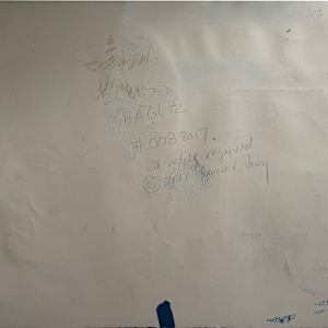 USA Elvis Eagle by Francis Pavy 