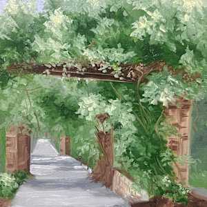 Arbor by Kalika Antao