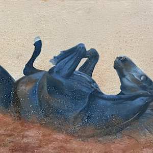 Just horsing around by Kalika Antao