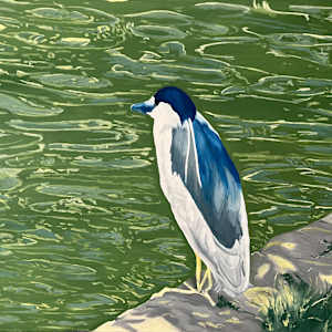 Take the plunge by Kalika Antao