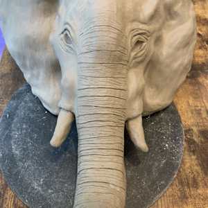 Elephant In The Room by Nell Choi - Neuromyelitis Optica, Image 1.