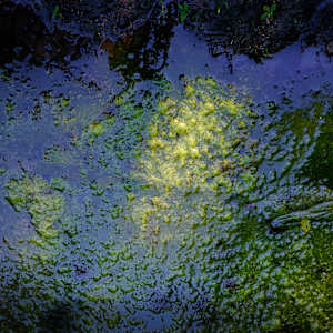 Water Reflections by Kjeld Smed