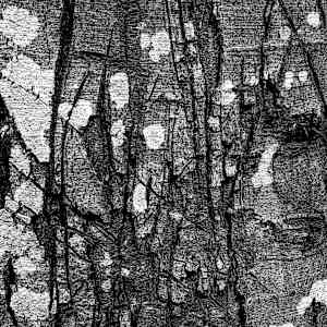 After battle 2 by Kjeld Smed