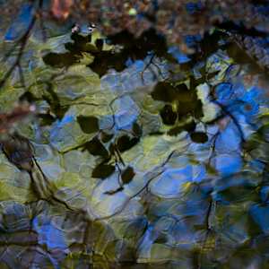 Water Reflections by Kjeld Smed