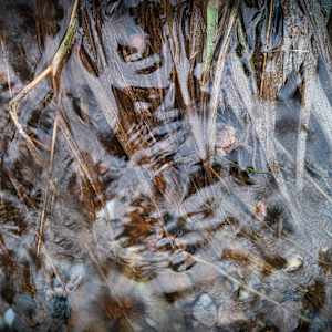 Water Reflections by Kjeld Smed