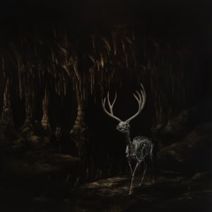 Fossils by Brian Mashburn 