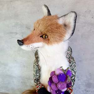 The Fox and the Grapes by Aya Sakai 