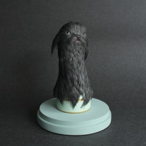 A Rare & Dubious Thing by Alexandra Lukaschewitz