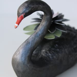 Black Water Lillies by Alexis Savopoulos 