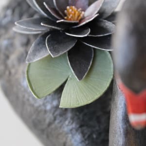 Black Water Lillies by Alexis Savopoulos 