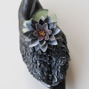 Black Water Lillies by Alexis Savopoulos 