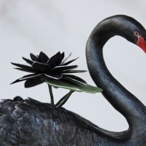 Black Water Lillies by Alexis Savopoulos 