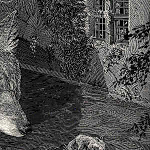 Rivers Twice Trodden, Beneath Bridges by Calvin Laituri 