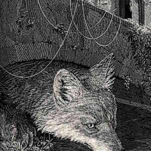 Rivers Twice Trodden, Beneath Bridges by Calvin Laituri 