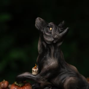 Shooting the Moon by Shelby Clark 